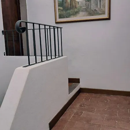 Frigionaia