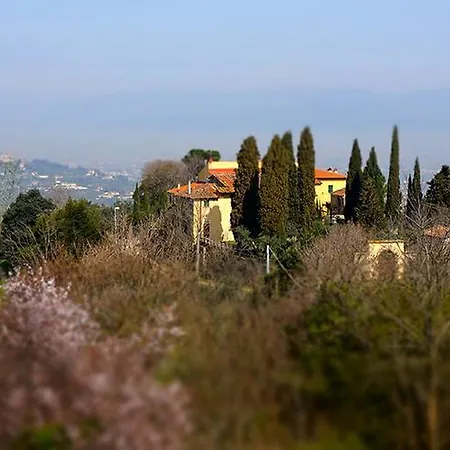 Frigionaia كارمينيانو